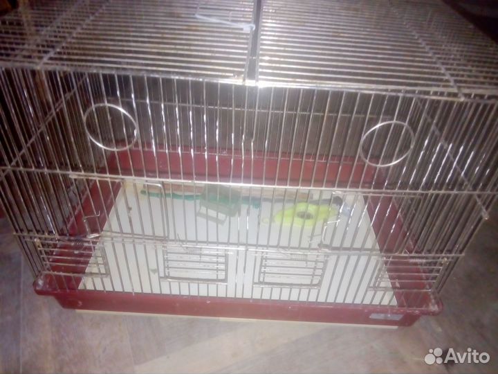 Клетка для попугая