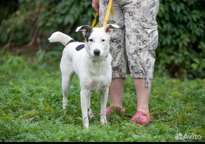 Беленькая Нора