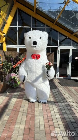 Экспресс-поздравление Белый мишка