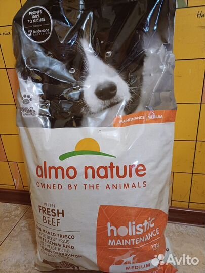 Корм для собак