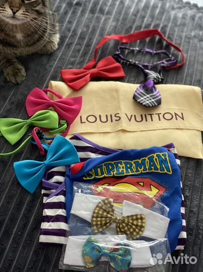 Боди, бабочки, воротники, галстуки для питомцев