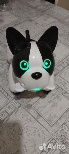 Интерактивная собака робот