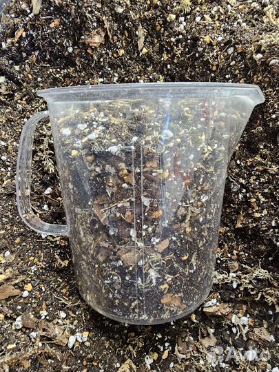 Идеальный грунт для комнатных растений