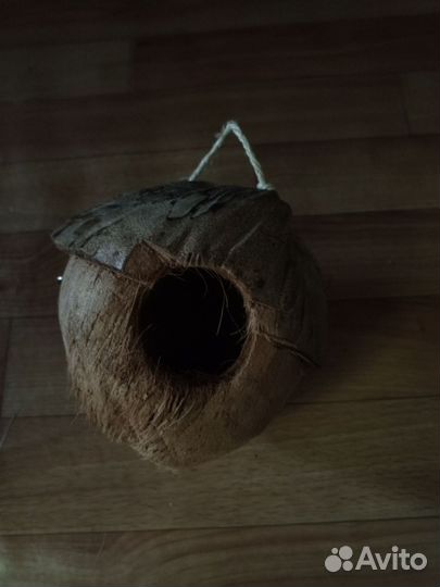 Домик для грызунов