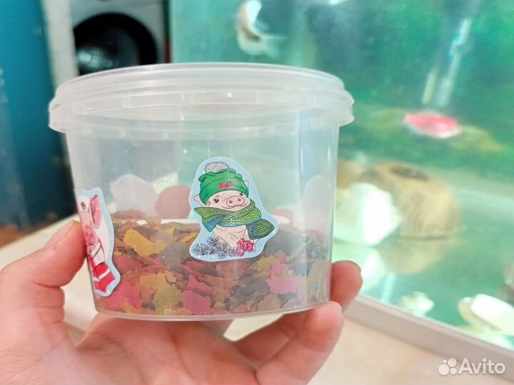 Аквариум с рыбками 10 шт