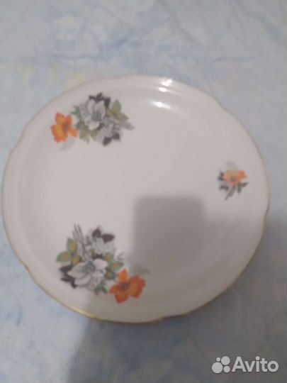 Поднос СССР