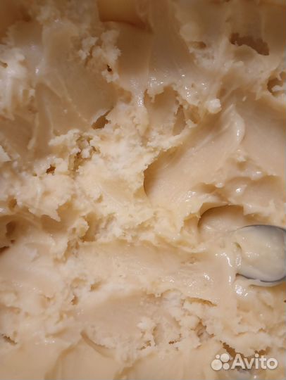 Мед подсолнечный