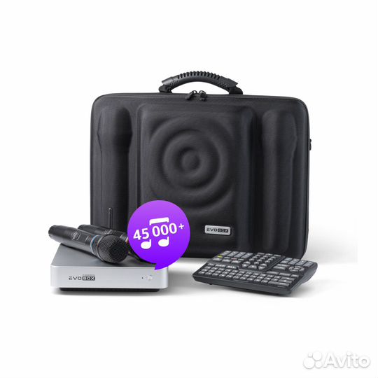 Караоке EvoBox Plus Silver с микрофонами + EvoCase