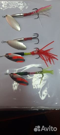 Рыбалка с гидом на Камчатке на Чавычу