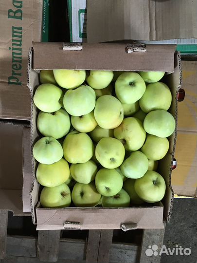 Сельзкохозяйственное предприятие (колхоз) 926 га