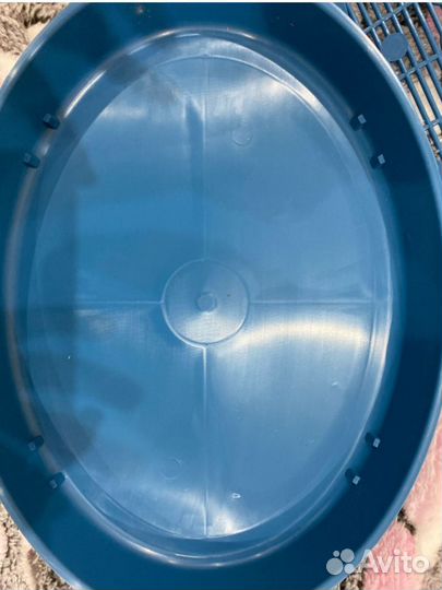 Лоток для котят