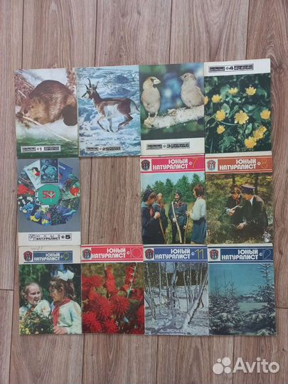 Журнал юный натуралист