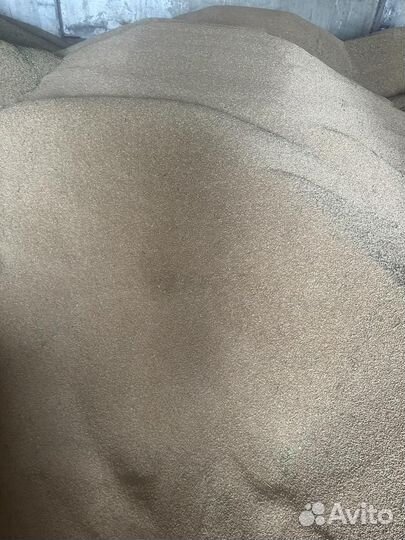 Зерно пшеница, Горох