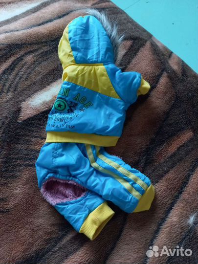 Комбинезон для маленькой собаки зима