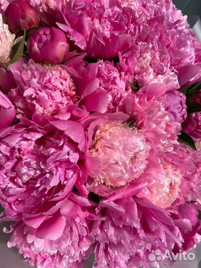 Букет из пионов