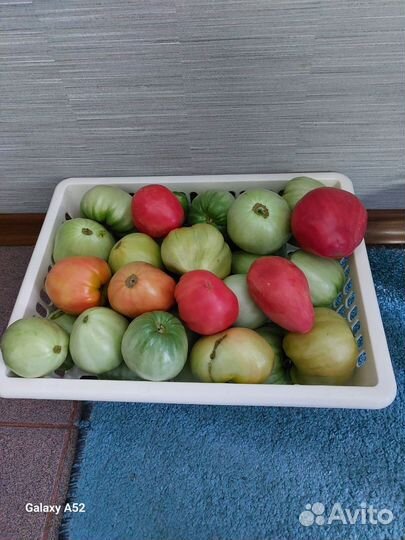 Помидоры домашние