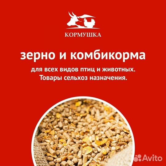 Гнездо трехместное для кур несушек с яйцесбором