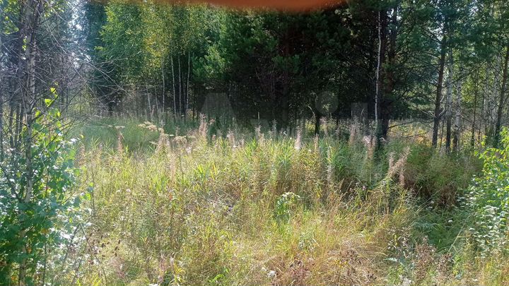 Участок 12 сот. (СНТ, ДНП)