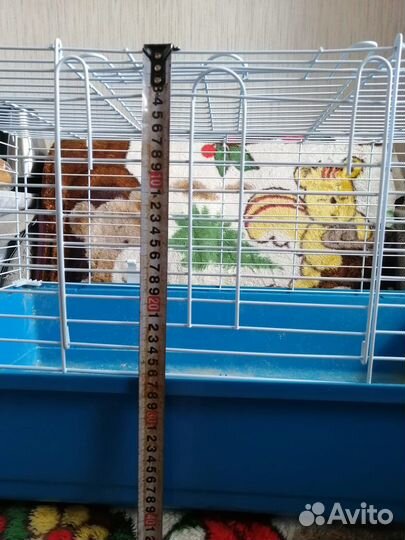 Клетка для грызунов