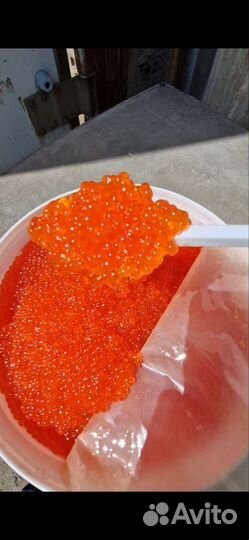 Икра форели