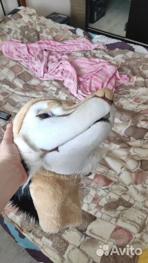 Фурсьют полуреалистик