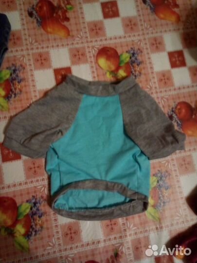 Одежда для собак мелких пород