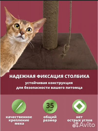 Когтеточка