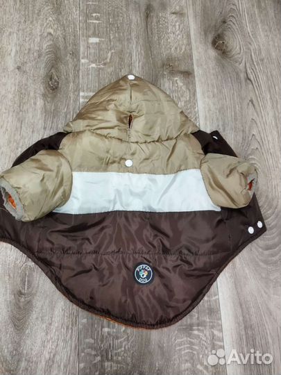 Куртка для мелкой собаке на весну/осень