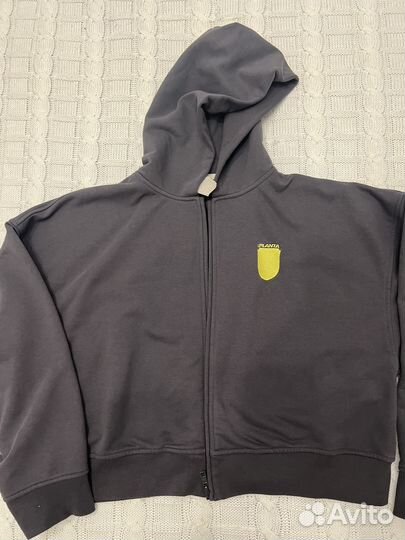 Planta rosa худи