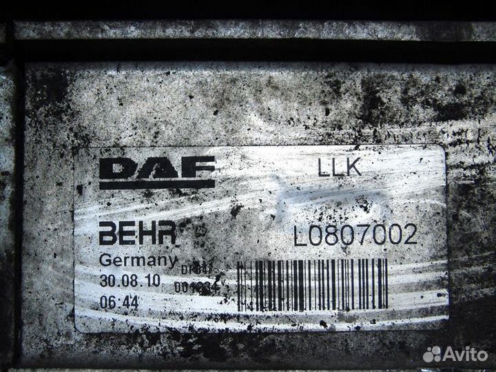 Интеркулер DAF XF105 (01.05)