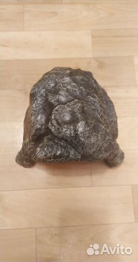 Декор для аквариума