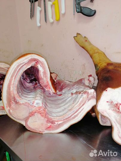 Мясо свинина