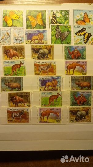 Марки Фауна СССР Зарубежные 1959-1982г