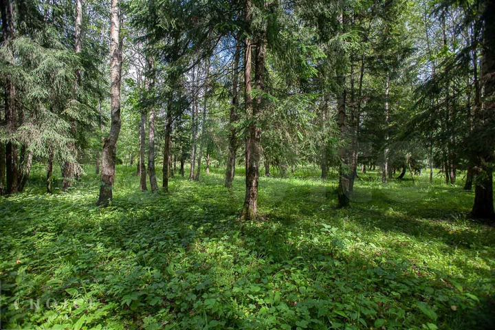 Участок 31 сот. (ИЖС)