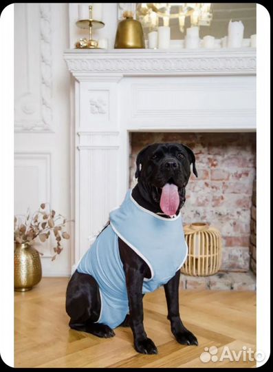 Попона для собак размер №4