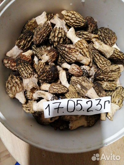 Грузди солёные