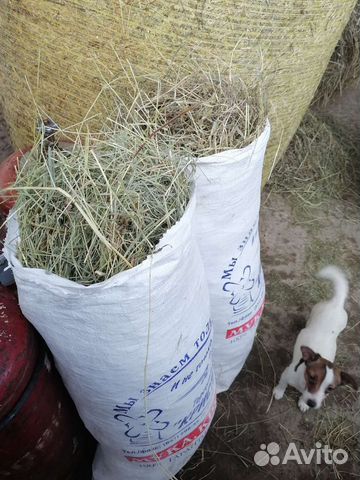 Сено луговое ароматное