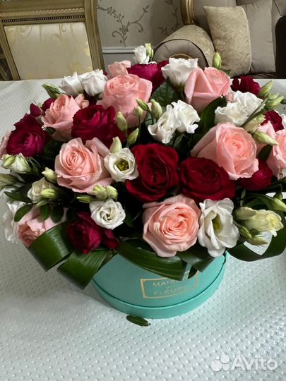 Цветы новые свежие