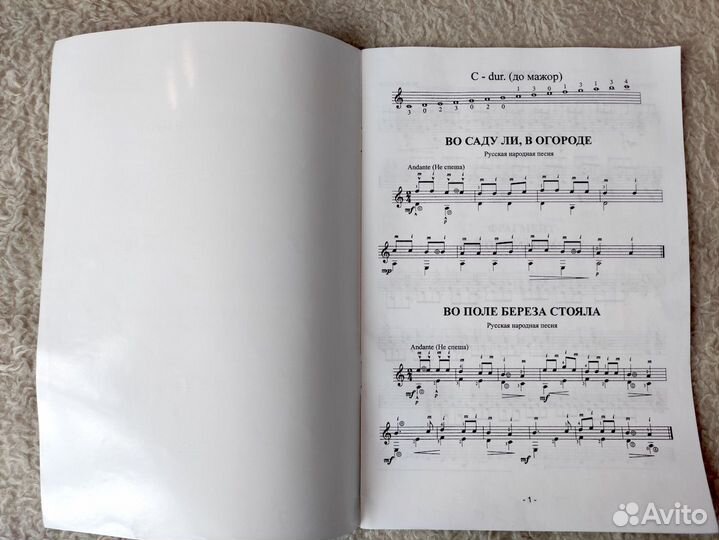 Гитара для начинающих. Самоучитель игры на гитаре