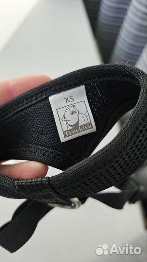 Товары для домашних животных