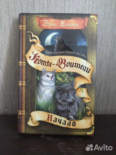 Эрин Хантер. Коты-воители