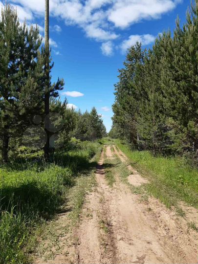 Участок 1,76 га (СНТ, ДНП)