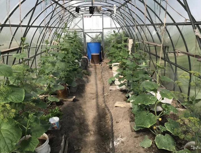 Дача 20 м² на участке 15 сот.