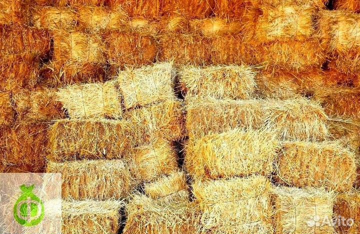Солома в тюках с доставкой в Коломне