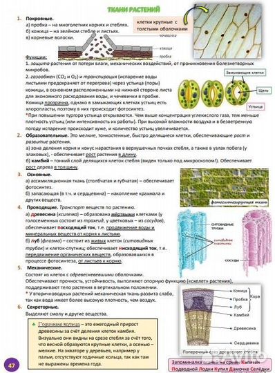 Супер книга для подготовки к ЕГЭ по биологии