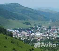 Майский мёд первой качки с Алтая