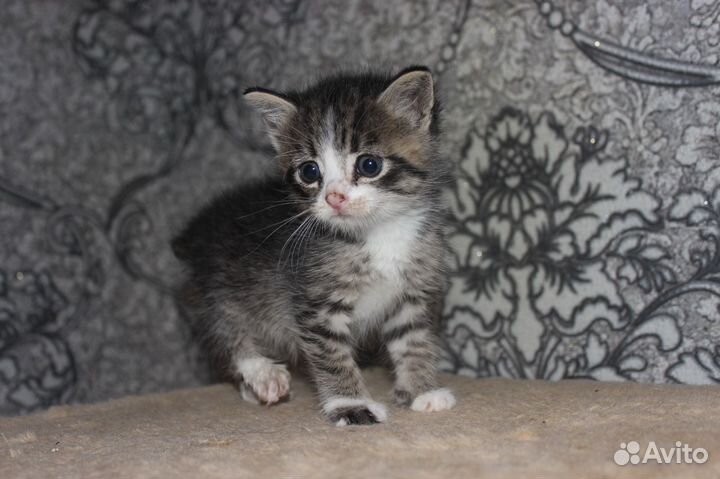 Маленький мальчик