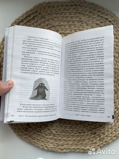 Котологика Марина Жеребилова