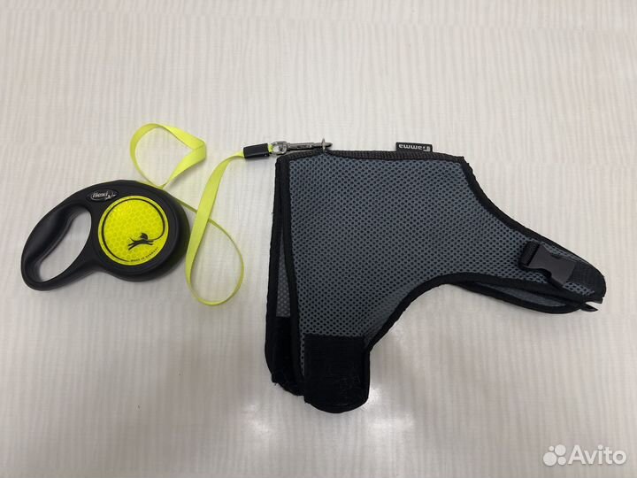 Шлейка для кошки или маленькой собаки