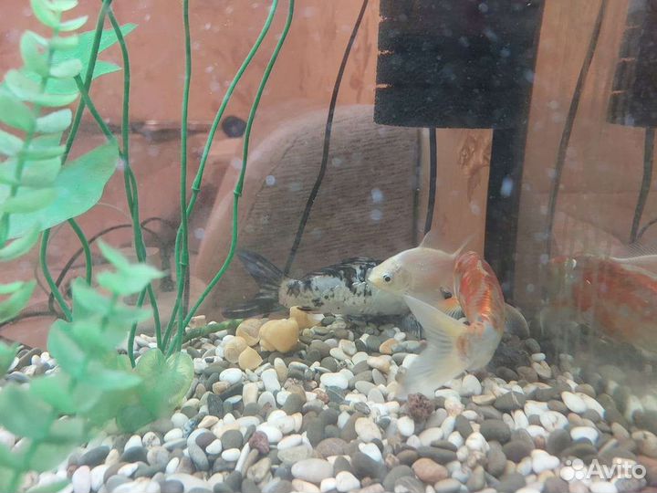 Украшение для аквариума